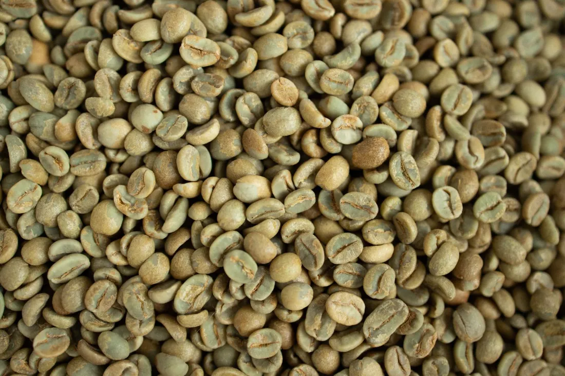 Ethiopian green coffee beans