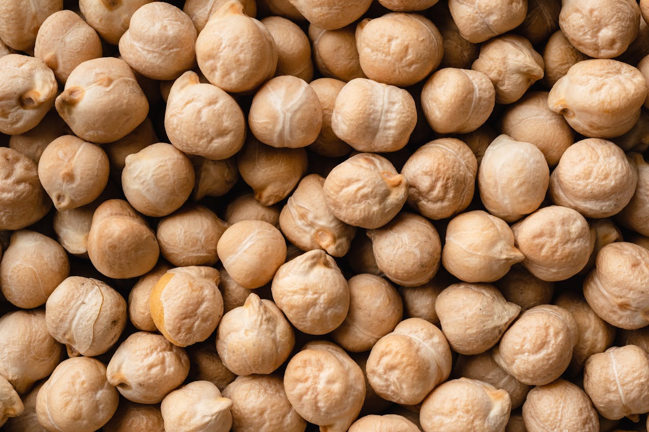 Chickpea